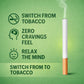 Natural Herbal Cigarettes PAAN Flavour(10 Sticks) 100% Tobacco-Free and Nicotine