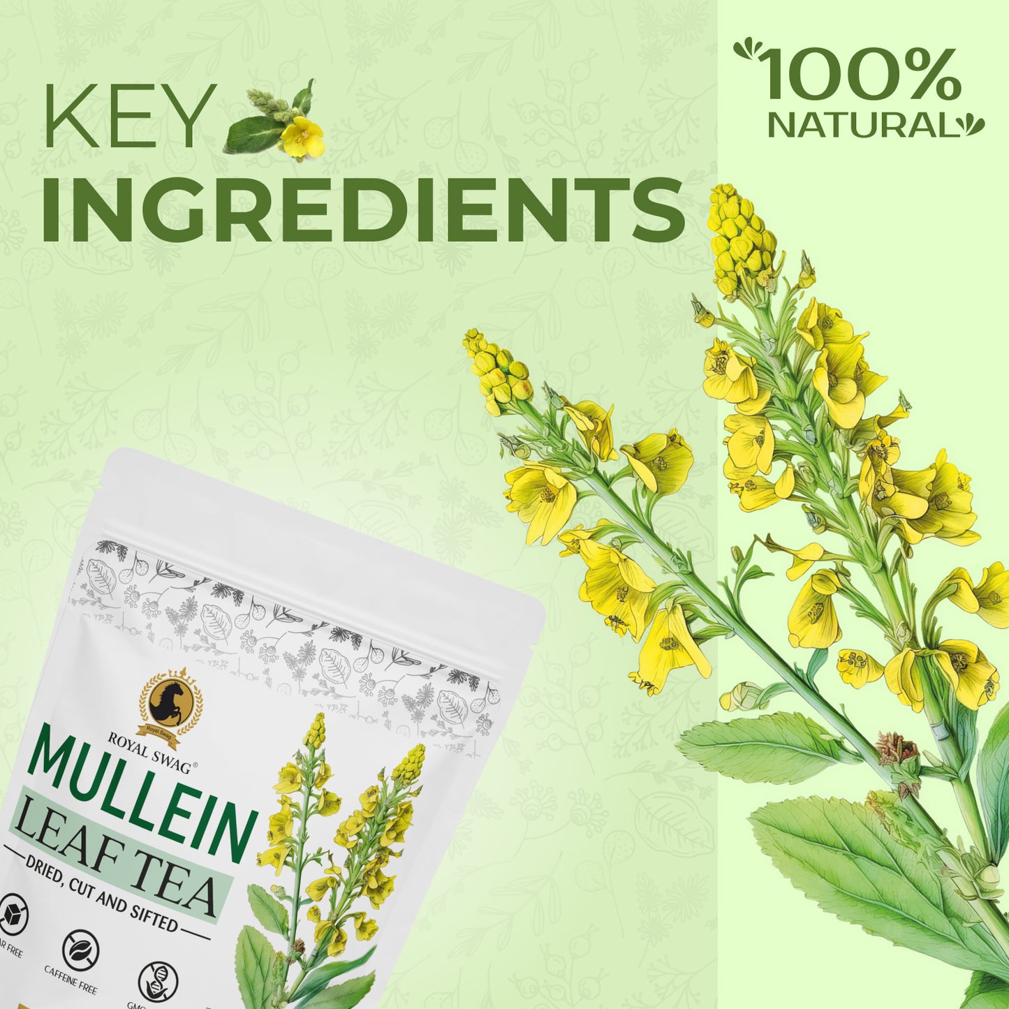 100% Pure and Natural Premium Mullein Leaf Tea 50 gram Pack | Non-GMO, Caffeine Free and Sugar Free
