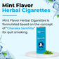 Mint Flavor Herbal Cigarettes - 5 Sticks Packet