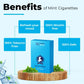 Mint Flavor Herbal Cigarettes -20 Sticks Packet theroyalswag