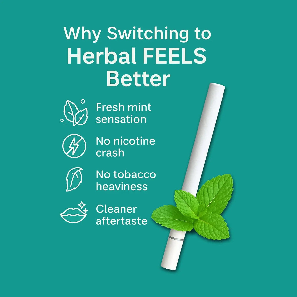 Mint Flavor Herbal Cigarettes theroyalswag