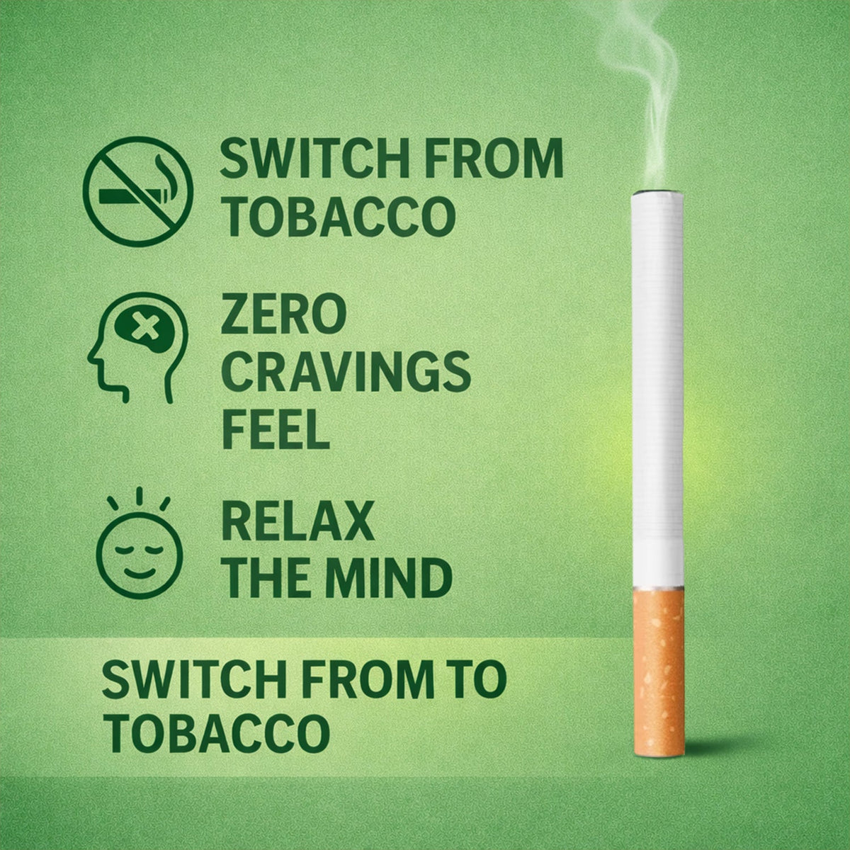 Natural Herbal Cigarettes PAAN Flavour(10 Sticks) 100% Tobacco-Free and Nicotine theroyalswag